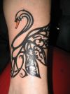 tribal swan pics tattoo